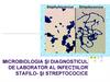 Microbiologia si diagnosticul de laborator al infectilor stafilo-si streptococice