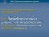 Микробиологическая диагностика энтеробактерий