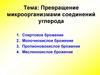 Превращение микроорганизмами соединений углерода. Тема 6