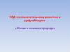 НОД по познавательному развитию в средней группе «Живая и неживая природа»
