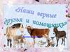 Наши верные друзья и помощники