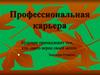Профессиональная карьера