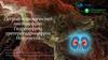 Острый и хронический пиелонефрит. Гидронефроз, уретерогидронефроз. Нефроптоз