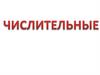 Количественные и порядковые числительные