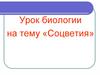 Урок биологии на тему «Соцветия»