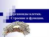 Органоиды клетки. Строение и функции. 6 класс