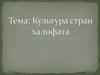 Культура стран халифата
