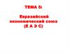 Евразийский экономический союз. Тема 5