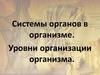Системы органов в организме. Уровни организации организма