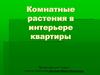 Комнатные растения в интерьере квартиры. 7 класс