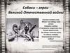 Собаки - герои Великой Отечественной войны