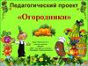 Педагогический проект «Огородники»