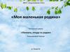 Моя маленькая родина. Конкурсная работа «Помнить, откуда ты родом»
