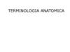 Terminologia anatomica