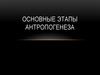 Основные этапы антропогенеза