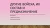 Другие войска, их состав и предназначение