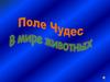 "Поле чудес" Животные умеренного пояса