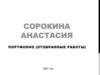 Сорокина Анастасия. Портфолио (отобранные работы)