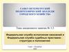Федеральная служба исполнения наказаний и Федеральная служба судебных приставов: структура и полномочия