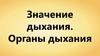 Значение дыхания. Органы дыхания