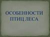 Особенности птиц леса