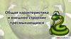 Общая характеристика и внешнее строение пресмыкающихся