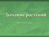 Дыхание растений