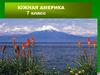 Южная Америка (7 класс)