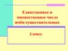 Единственное и множественное число имён существительных