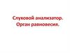 Слуховой анализатор. Орган равновесия