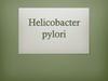 Helicobacter pylori