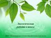 Экологическая работа в школе