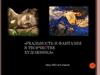 Реальность и фантазия в творчестве художника