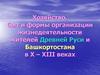 Хозяйство, быт и формы организации жизнедеятельности жителей Древней Руси и Башкортостана в X-XIII веках