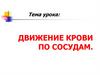 Движение крови по сосудам