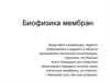 Биофизика мембран
