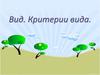 Вид. Критерии вида