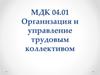 Функции и принципы менеджмента