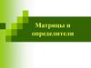 Матрицы и определители