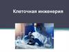 Клеточная инженерия