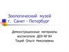 Зоологический музей г. Санкт - Петербург. Типы музеев