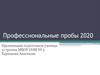 Профессиональные пробы в онлайн режиме