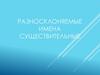 Разносклоняемые имена существительные
