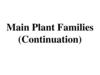 Main plant families (continuation)