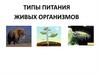 Типы питания живых организмов