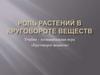 Роль растений в круговороте веществ. Учебно – познавательная игра