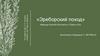 "Эреборский поход". Маршрут Бильбо Бэггниса и «Торин и Ко»