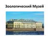Зоологический Музей