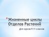 Жизненные циклы растений