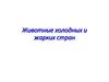 Животные холодных и жарких стран